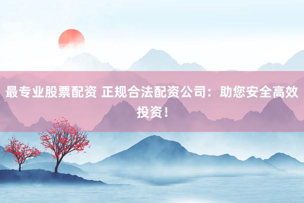 最专业股票配资 正规合法配资公司：助您安全高效投资！