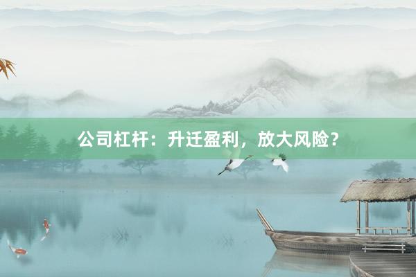 公司杠杆：升迁盈利，放大风险？
