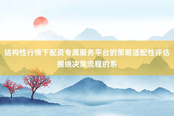 结构性行情下配资专属服务平台的策略适配性评估围绕决策流程的系