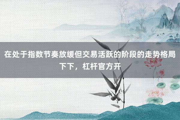 在处于指数节奏放缓但交易活跃的阶段的走势格局下下，杠杆官方开