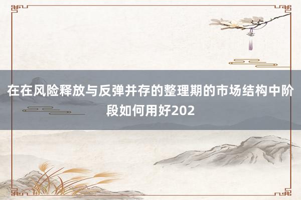 在在风险释放与反弹并存的整理期的市场结构中阶段如何用好202