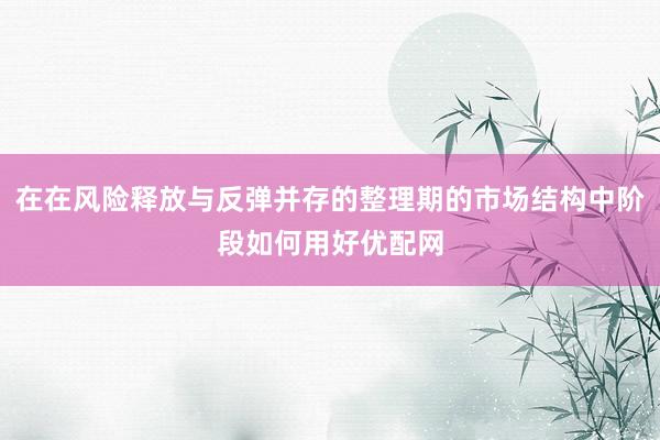 在在风险释放与反弹并存的整理期的市场结构中阶段如何用好优配网